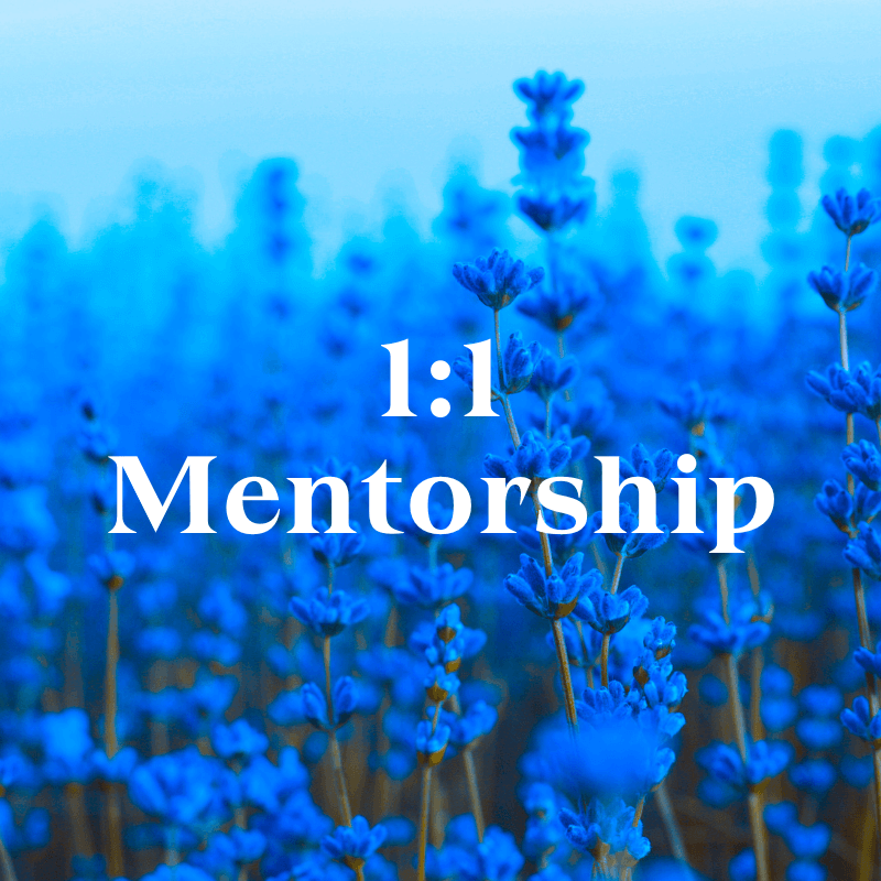 The image displays the text "1:1 Mentorship" in white letters over a background of vibrant blue lavender flowers.